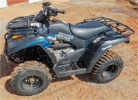 2021 Kawasaki 300 Brute Force, 2x4