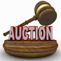 THE AUCTION IS ON!!