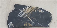 6" x 3 1/2" Plant Fossil or Carving in Stone