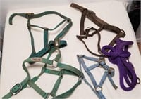 Various Nylon Horse Halters & Lead Rope