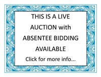 ABSENTEE BIDDING INFORMATION