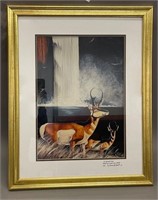Large Antelope Framed Print
