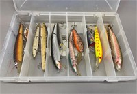 12 Rebel lures in a case