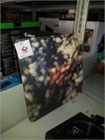 Pink Floyd obscured by clouds album