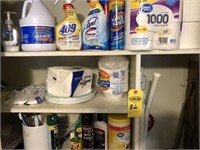Contents of Closet, Cleaning Supplies, Brooms,