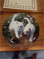 "A CHANCE MEETING: WHITE AMERICAN SHORTHAIRS" BY