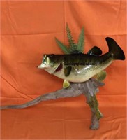 21" Large Mouth Bass Taxidermy on Driftwood