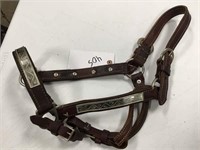 leather show halter