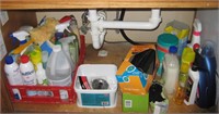 Contents of Under Sink-Cleaning Supplies