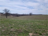 Online Only Land Auction Sullivan County