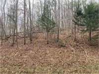 2 ACRES WOODY HILL ROAD - ROANE COUNTY