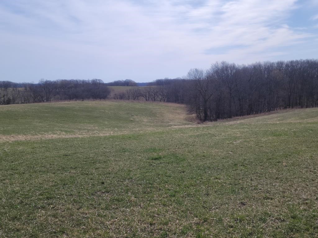 Online Only Land Auction Sullivan County