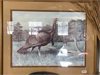 Framed turkey print