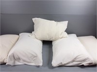 Assorted King & Queen Pillows