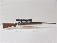 Ruger Rifle