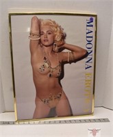 Madonna Poster 16" x 20"