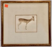 Deer print, 11" x 12" frame