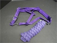 Purple Nylon Halter & Cotton Lead