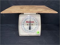 HANSON GENERAL HOUSEHOLD SCALE