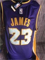 Lebron James 23 Lakers Purple Jersey NWT XL