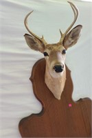 Deer neck mount w/ feet *gun rack