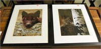 Lot #636 - Pair of framed wolf photos
