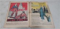 Jan 1934 Detroit Free Press "The Sunday Novel"