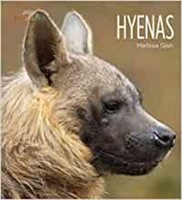 B-20 Hyenas Paperback – Unabridged, Aug. 28 2018
