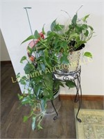 2  beautiful house plants one on metal stand