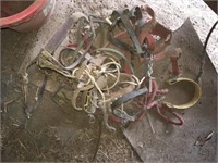 Misc Tack &  Bridles in Group