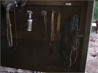Misc Horse Tack & Supplies On Wall & Cabinet