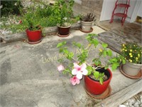 5pc - Ceramic Planters / Plants / Etc