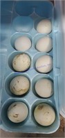 9 Fertile Serama Eggs