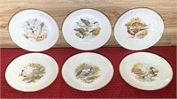 9 inch commemorative bird plates