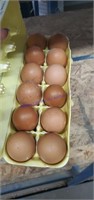 1 Doz Fertile Mystic Maran Eggs