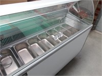 Bromic Fenice 7m Ice Cream Display Freeer, New