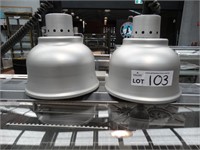 2 Drop Down Commercial Food Warming Lamps