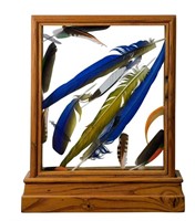 Wood Frame Feather Display Case