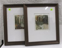 2 framed colored engravings