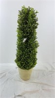 2 SPRING BOXWOOD TOPIARY IN PLANTER