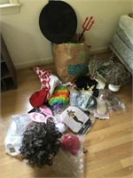 Lot of Assorted Costumes