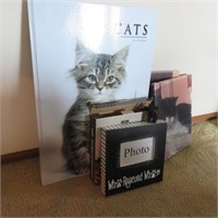 Cat Frame, Book, and Canvases