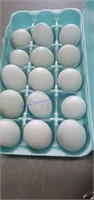 15 Fertile Ameracauna Eggs