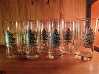 (10) Spode Holiday Glasses