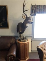 Taxidermy Pedestal Mount Mule Deer with custom