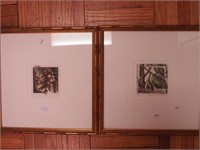 Two framed colored etchings, both botanical scenes