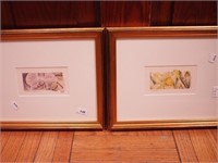 Two small botanicals by Julie Sutter-Blair: