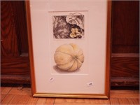 Drawing of a melon by Julie Sutter-Blair,