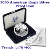 2005-w 1 oz .999 fine Proof Silver American Eagle