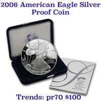 2006-w 1 oz .999 fine Proof Silver American Eagle